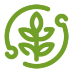 Ícone verde de suculenta estilizada, representando cuidados com plantas.